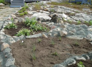Pihasuunnitelma, okt pihasaneeraus, Piha- ja Vihersuunnittelu AnitaS  